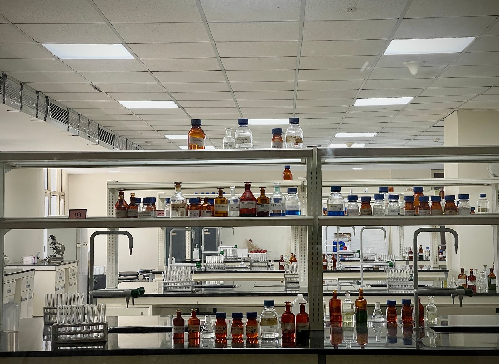 Saccharomyces Boulardii Market, Global Outlook and Forecast 2025-2031